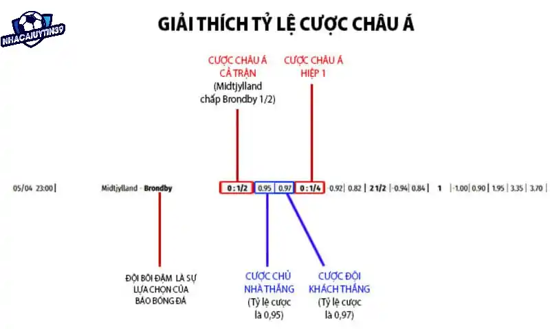 Đặt cược một cách thông minh khi tham gia kèo chấp 1/2