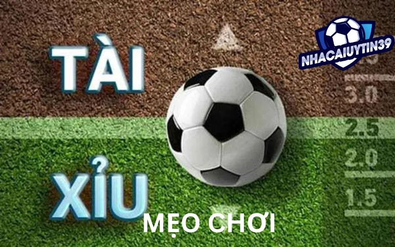 Một số mẹo chơi kèo tài xỉu 2-2.5 hiệu quả cho người chơi mới