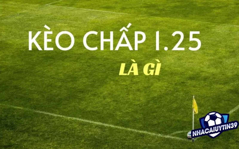 Cách đọc kèo châu Á 1/4