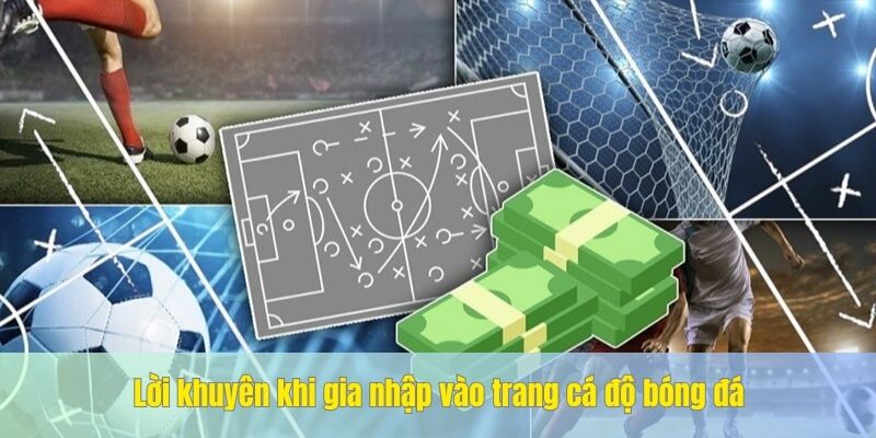 Một số lưu ý khi chơi cá độ trực tuyến